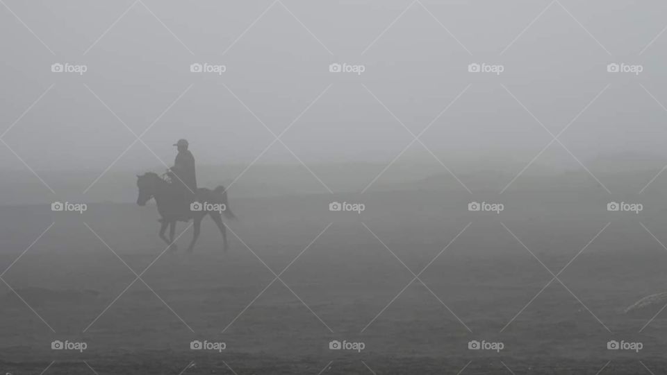 Horse silhouetted