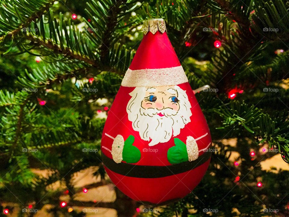 Christmas, Winter, Tree, Christmas Tree, Fir