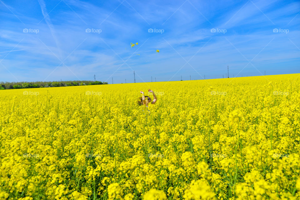 Person in the field of oilseed rape