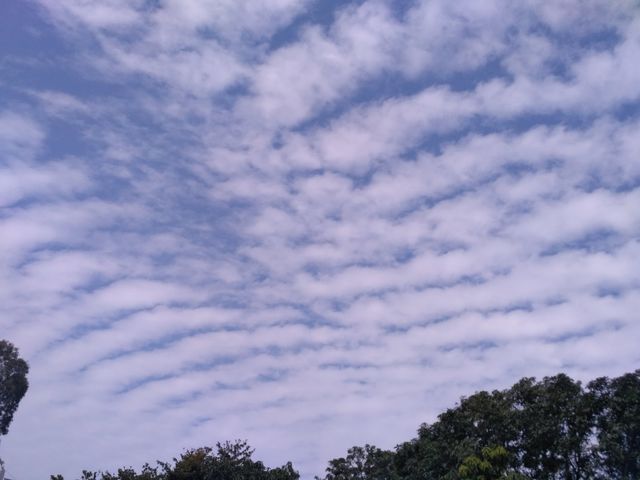 Cloudy day