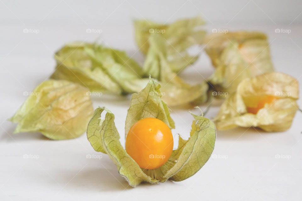 Close up of physalis berries