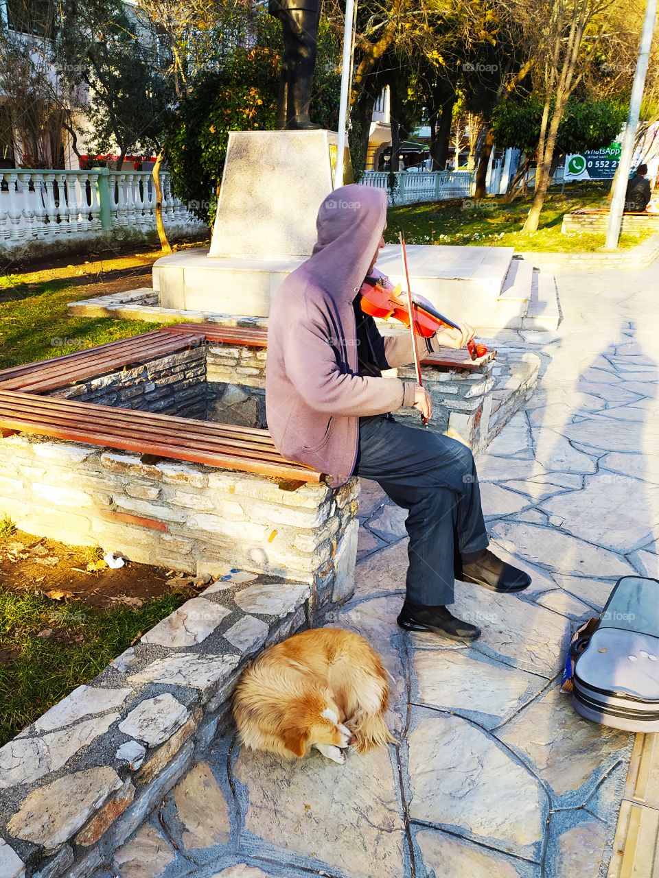 Homeless dog friendship with street musician