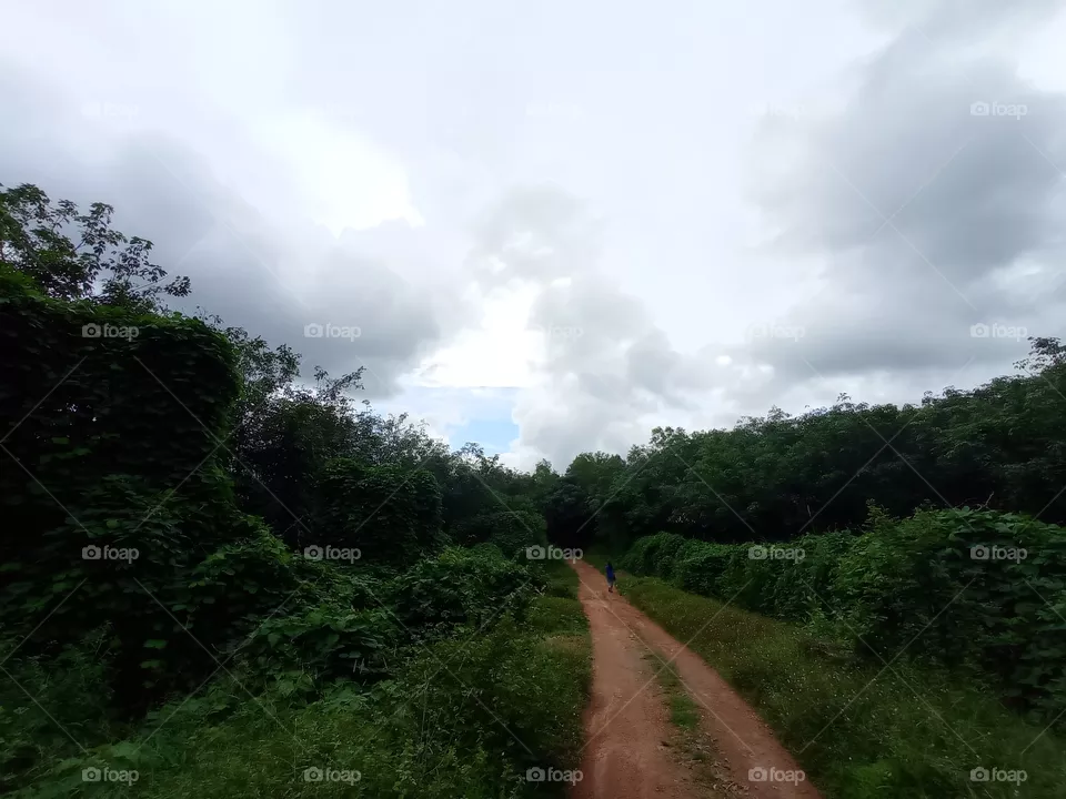 super nature