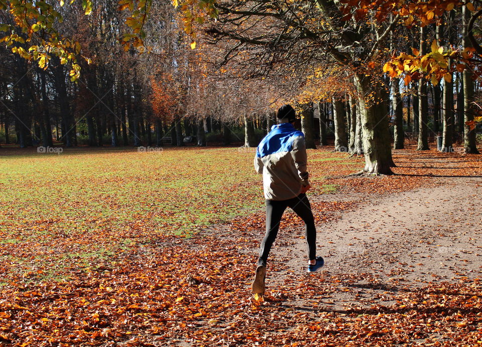 Autumn jogging.