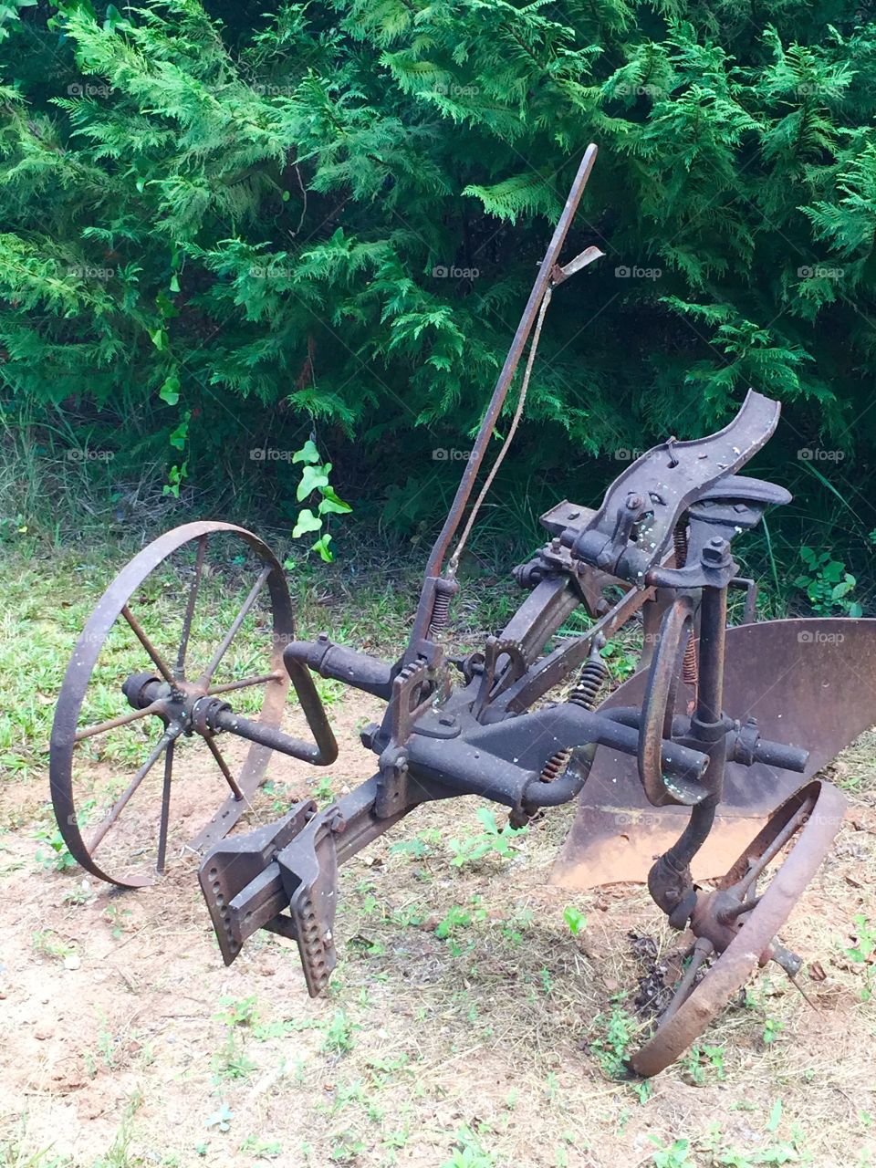 Antique rusted plowing a piece of land. 