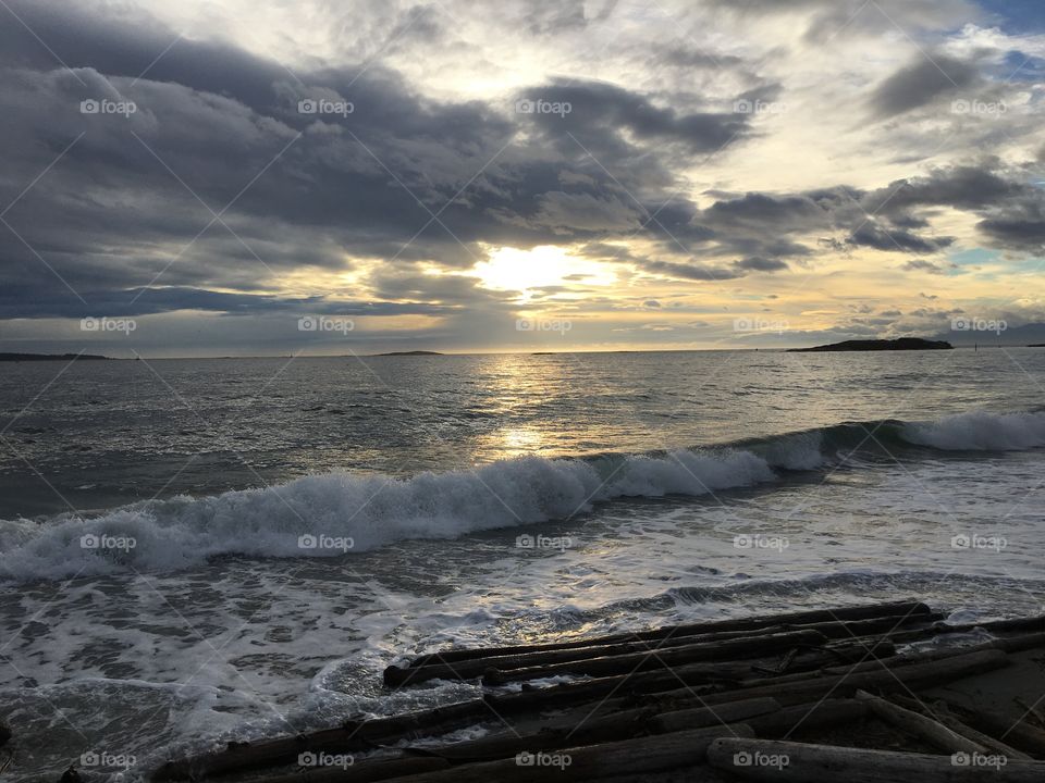 Driftwoods on beach during sunset