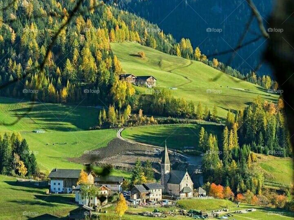 Switzerland 