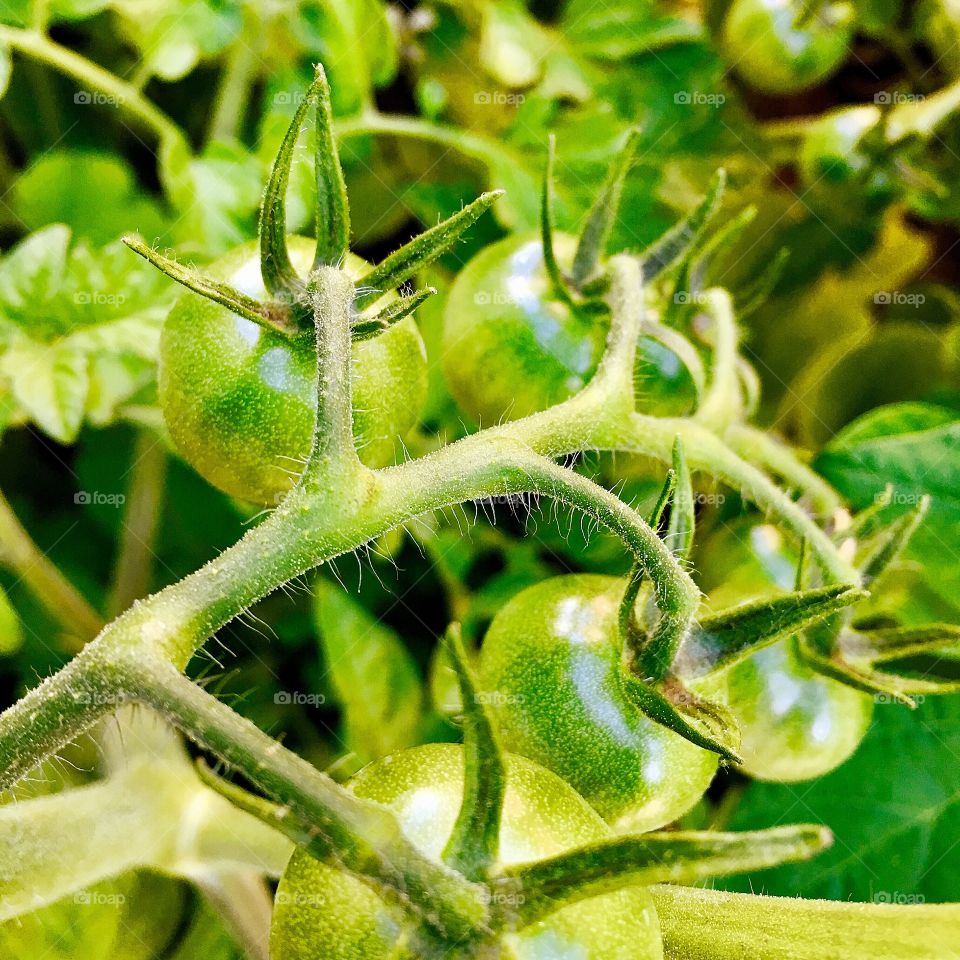 Captured with iPhone 6s Plus 