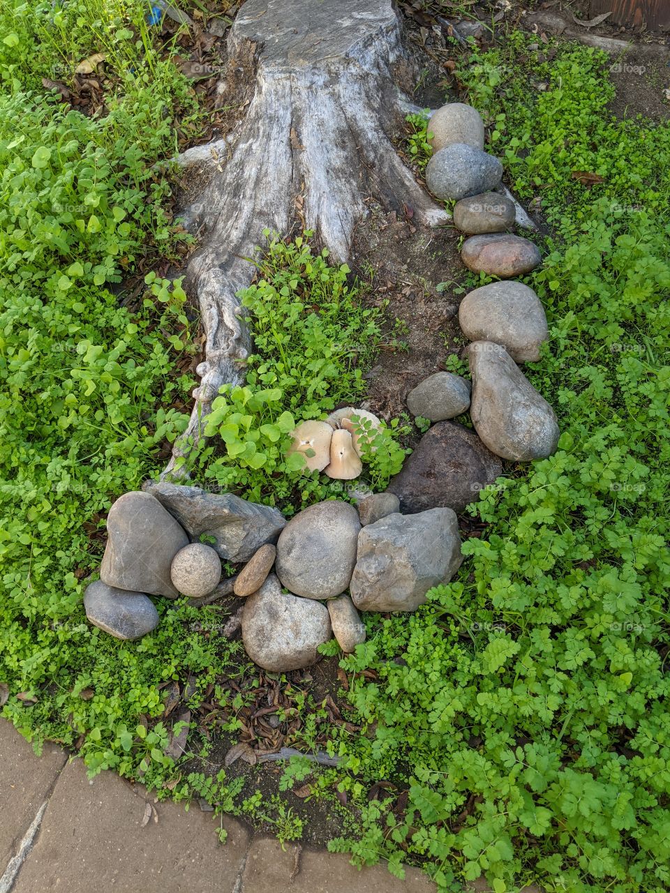 garden rocks