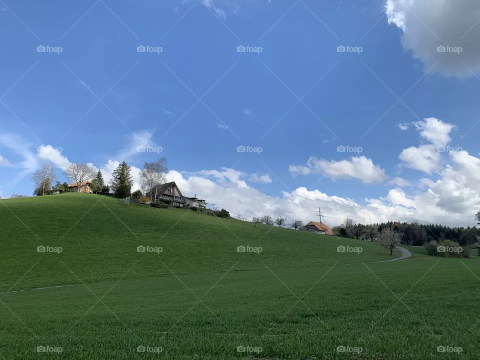 Swiss