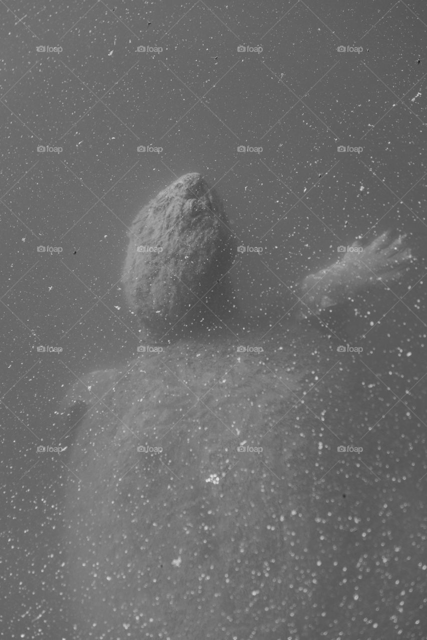 Black and white of a common snapping turtle (Chelydra serpentina) swimming to the pond’s surface at Crowder County Park in Apex North Carolina. Has aura of prehistoric creature emerging from the darkness below.