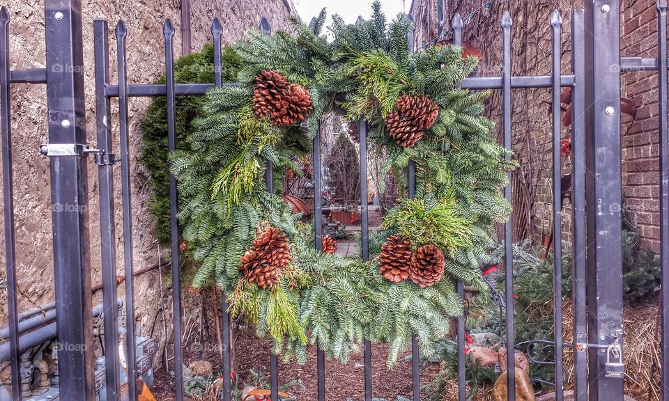 Christmas Wreath