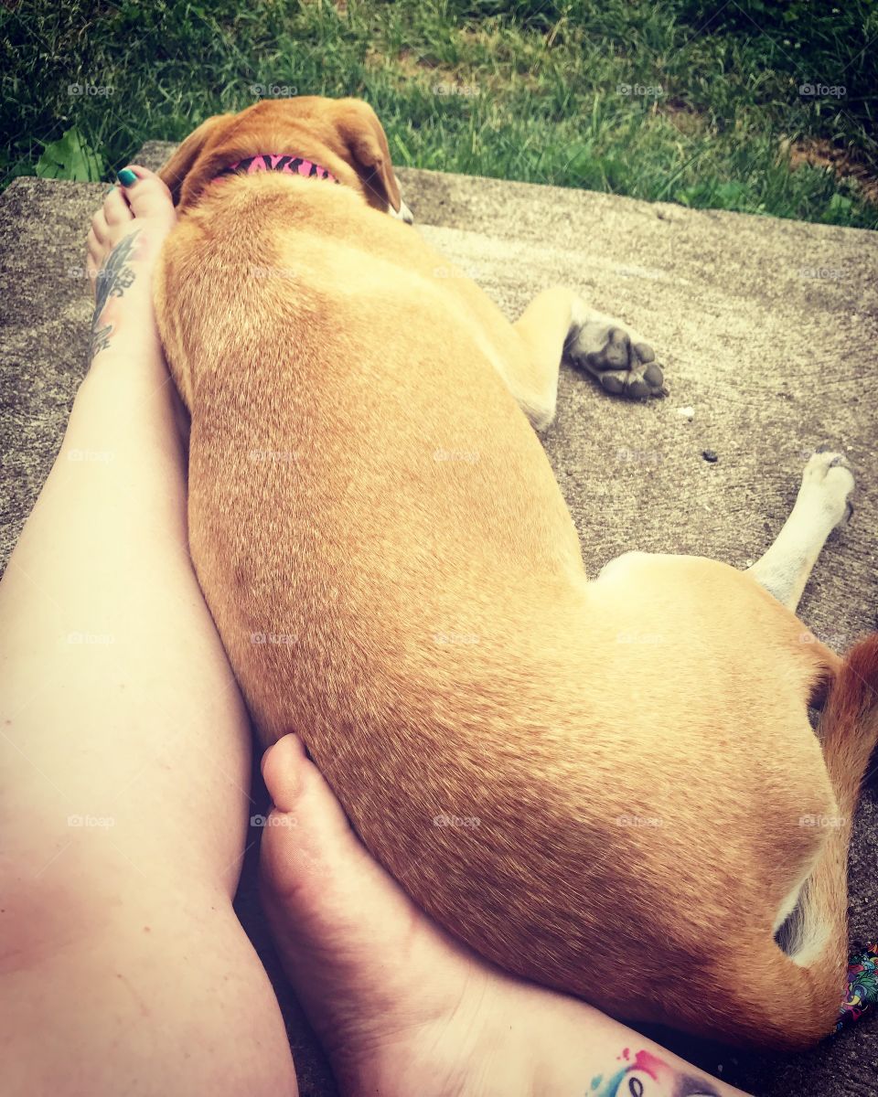 Outside cuddles with Bella. She's so sweet. 