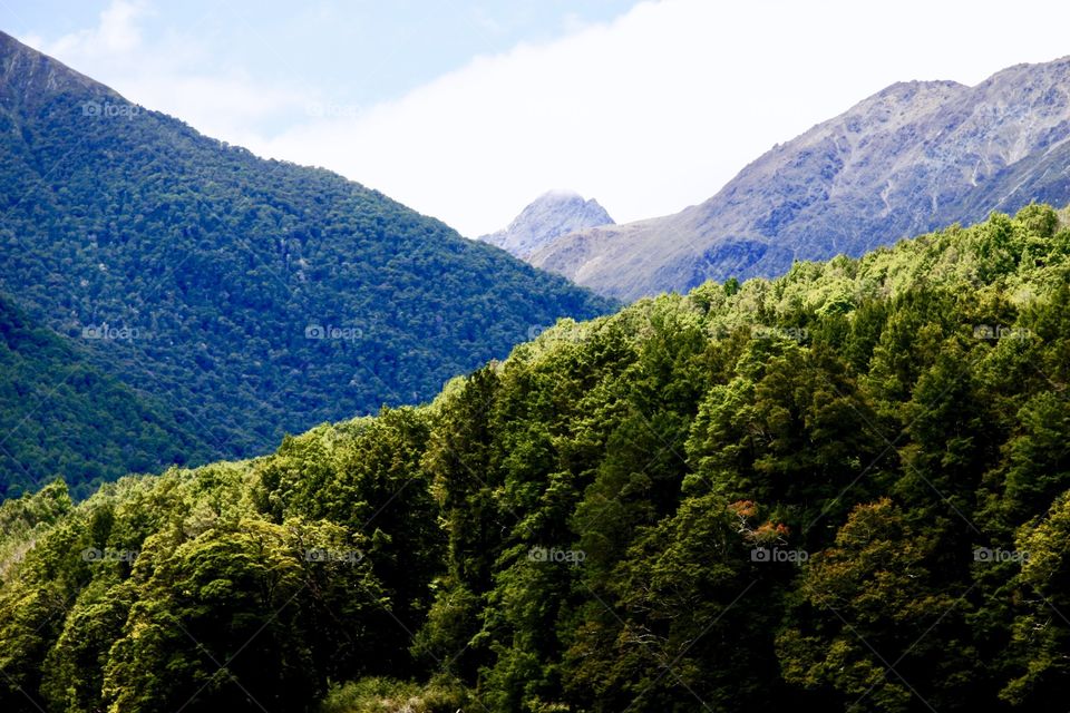 View of forest and mountain