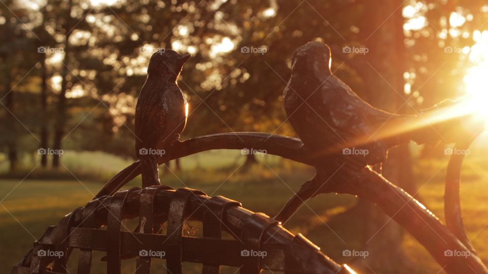 Old Friends Watch Sunset