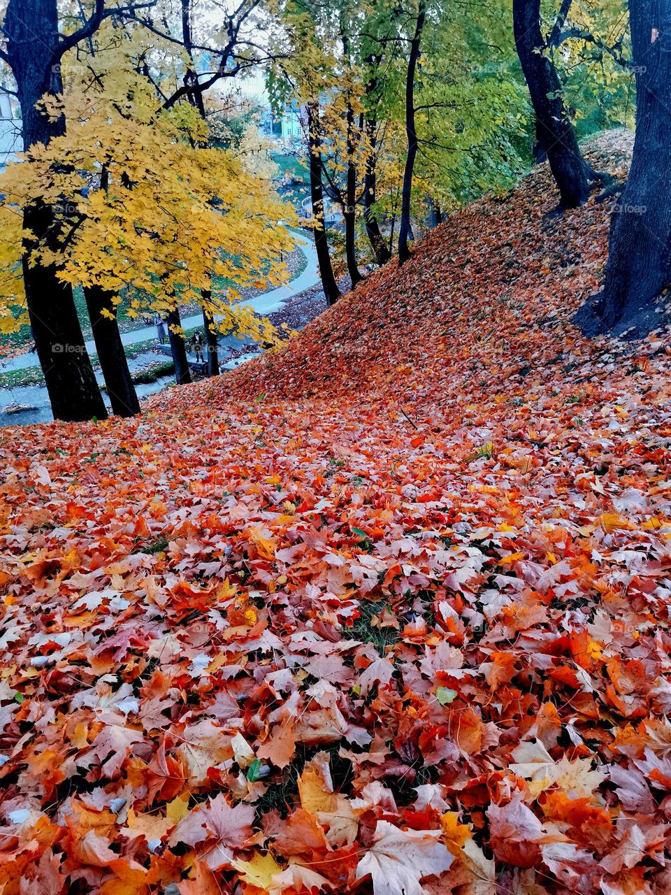 Autumn Park @milana_photo2020