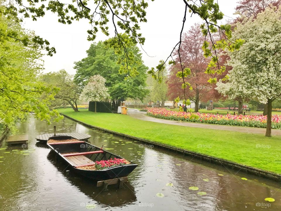 Boat in a canal and in Keukenhof garden, Holland 