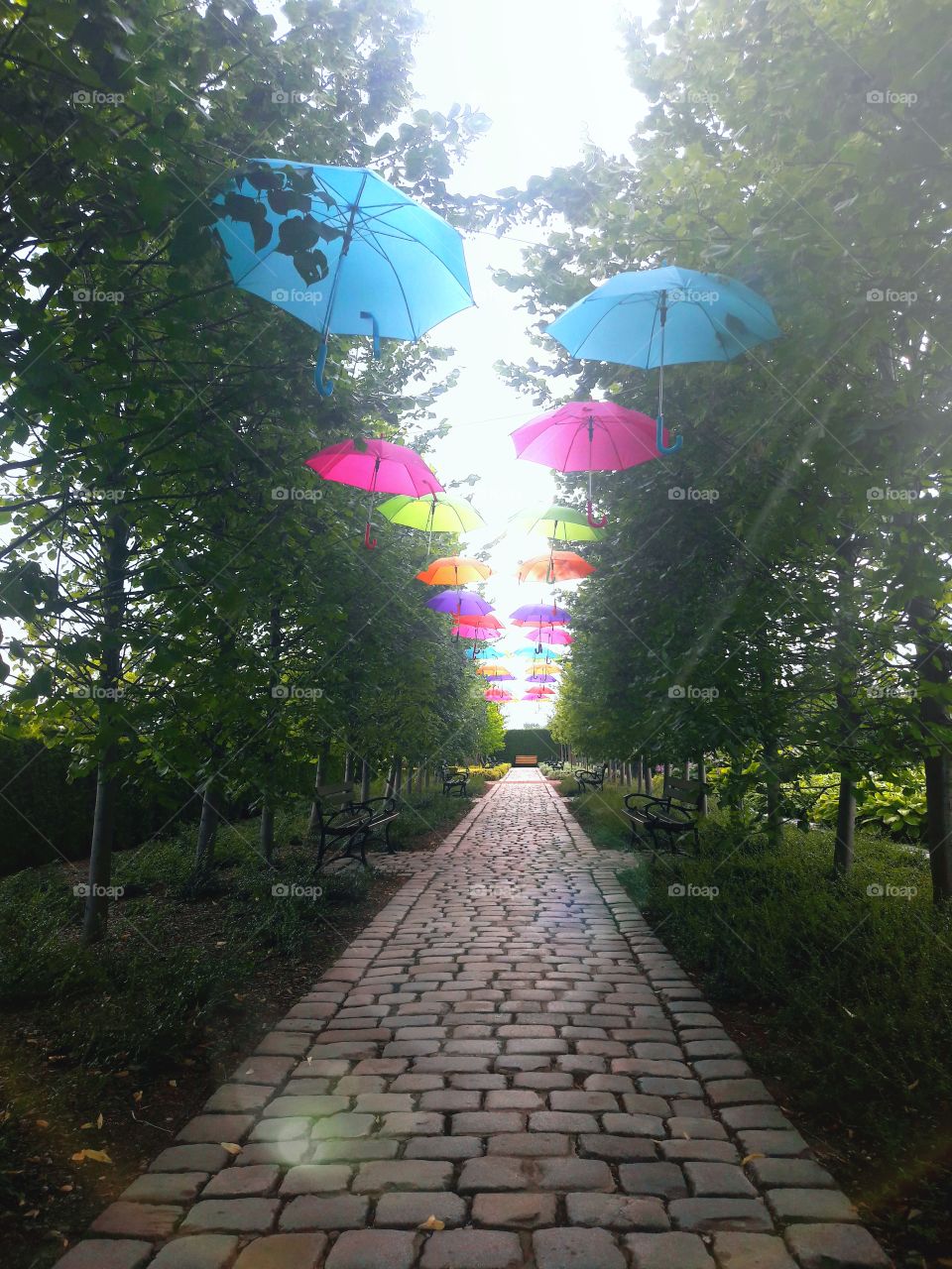 Beautiful wonderful colorful umbrellas hanging on the trees. A view of the path in the garden park.