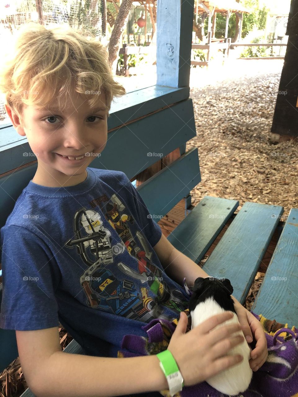 Holding a Guinea Pig