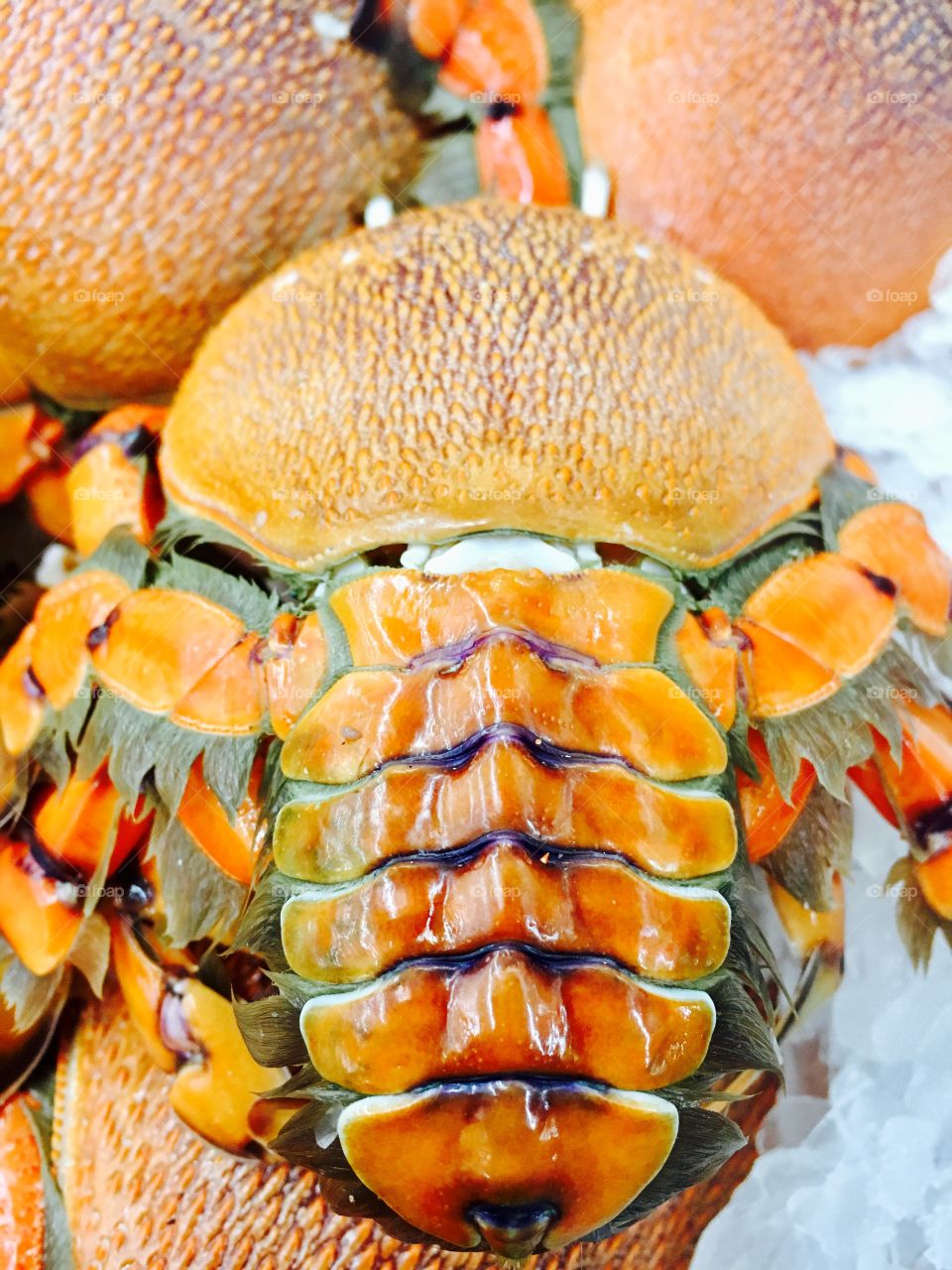 Orange color fresh crab up for grab