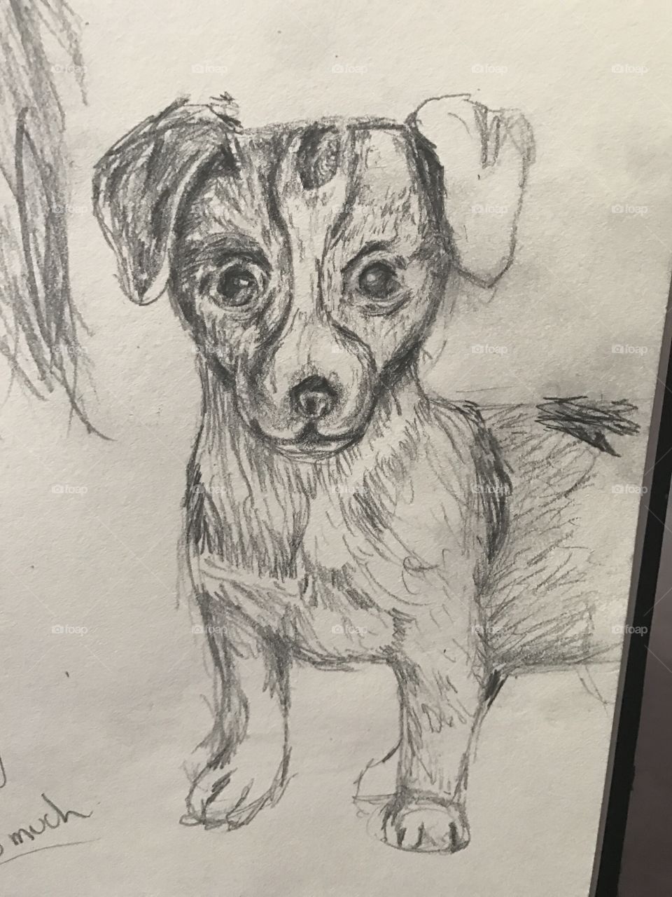 Dog drawing by me IG: @officiallilyjiang 