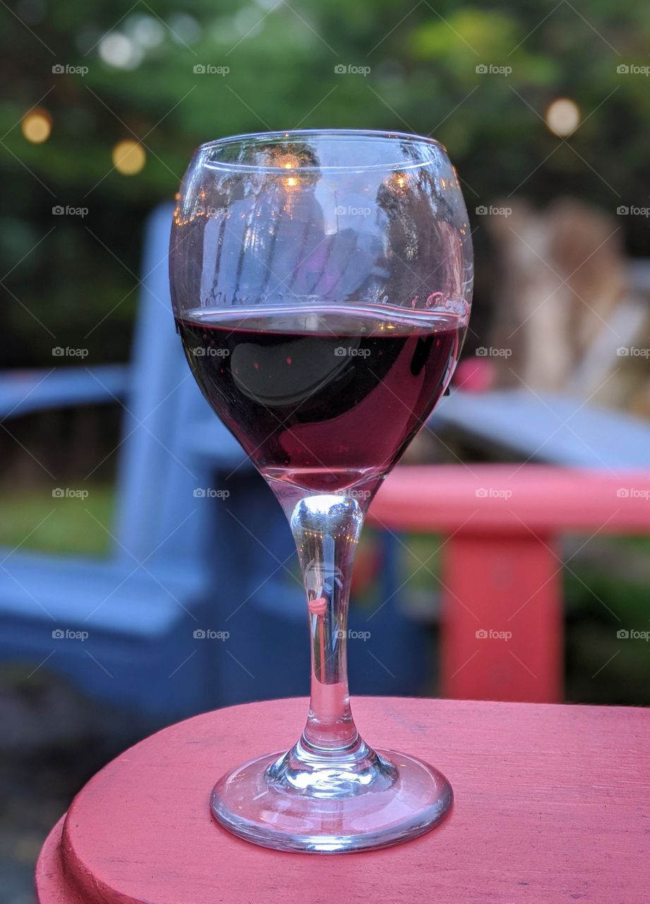 Stay Home Year 2020 - Canadian Outdoors