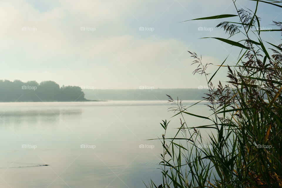 morning fog on the lake in Moscow area