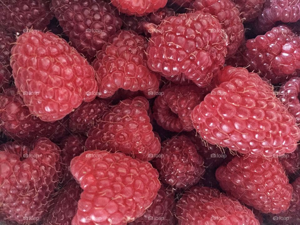 Full frame of raspberries