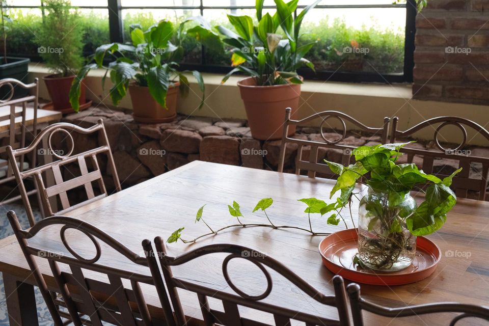 Cafe interior with wooden and metal , green plants and big windows