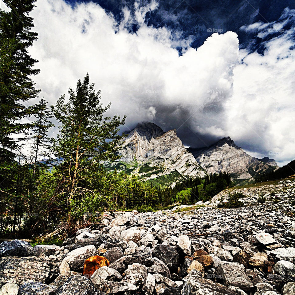 tree cloudy rocks mountains by redrock