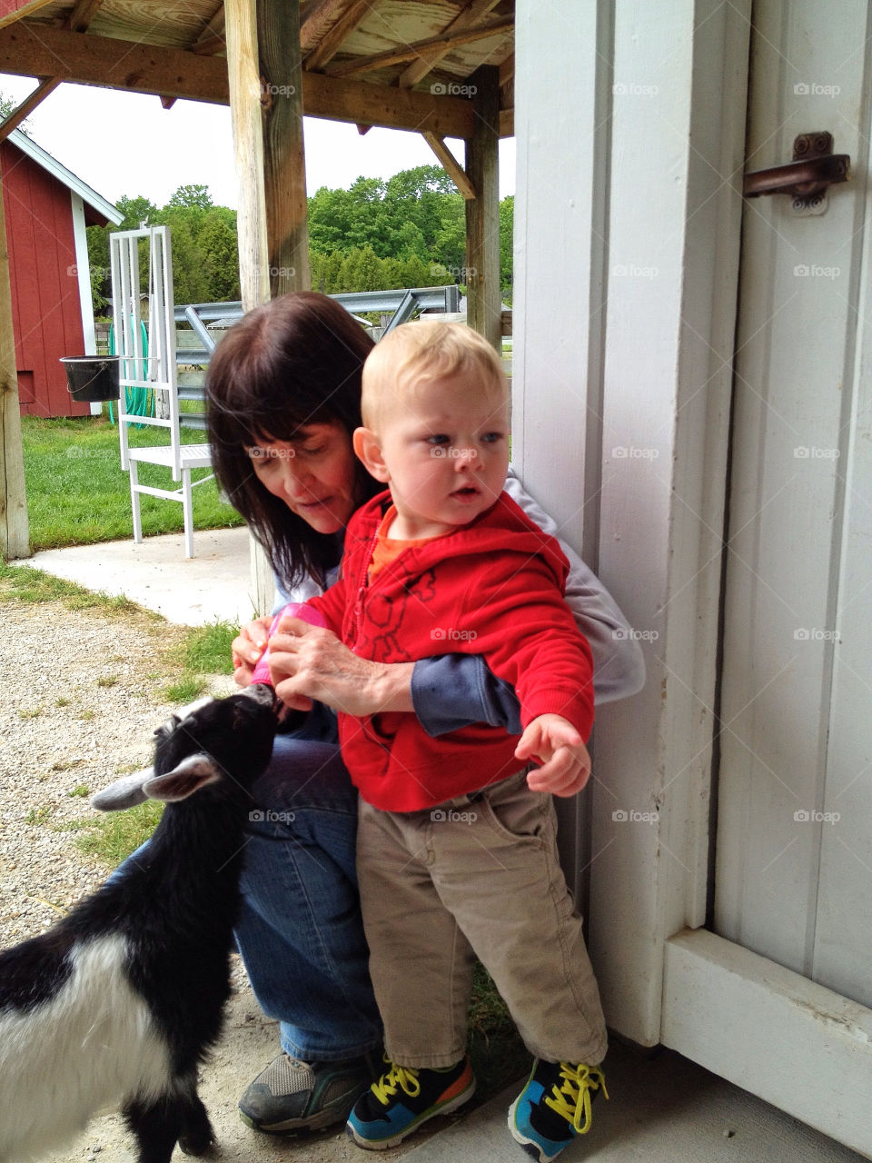 green yellow nature red by somebeach