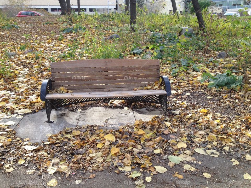 Fall bench