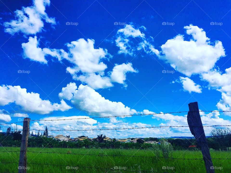 📸 #Desestressando em #clicks!, pois #fotografia é nosso #hobby.
O #azul e o #verde combinam demais com o #branco de #paz!
#️⃣ 
#sol #sun #sky #céu #natureza #horizonte #paisagem #inspiração #mobgrafia #XôStress