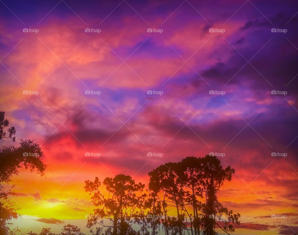 Vivid purple and sunset.