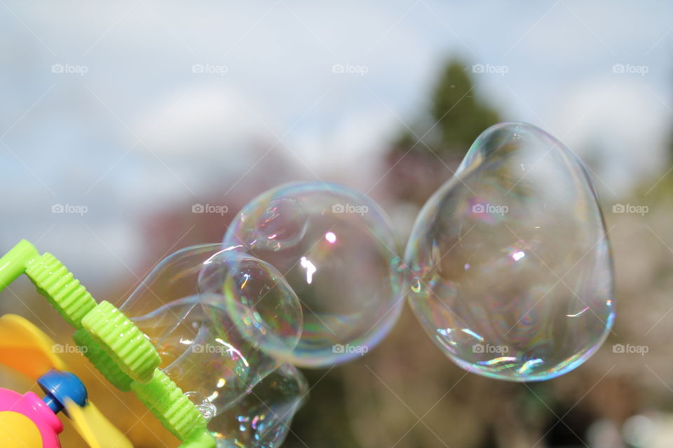 bubbles