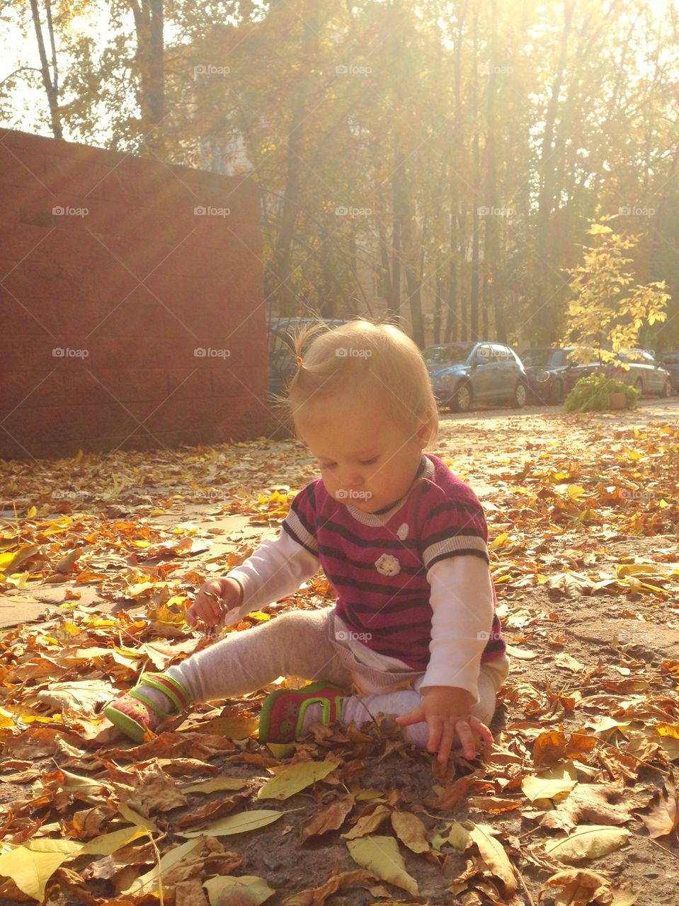 Autumn is here. Small baby girl seating in yellow leaves 