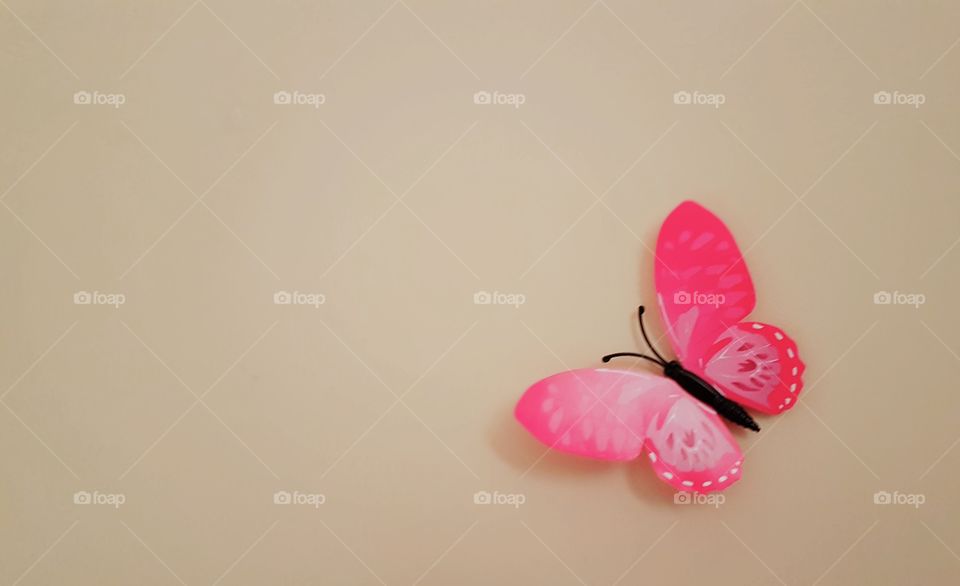 pink butterfly