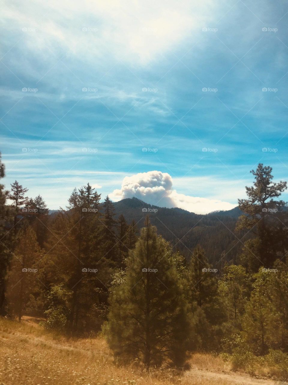 Fire in Oregon Forest