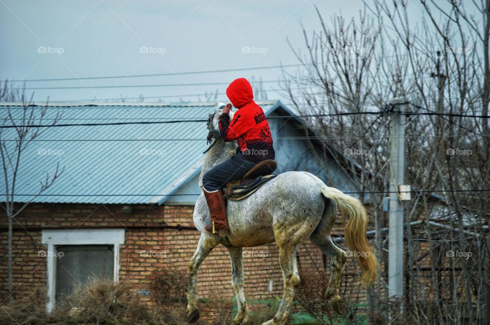 rider on a horse near a brick house