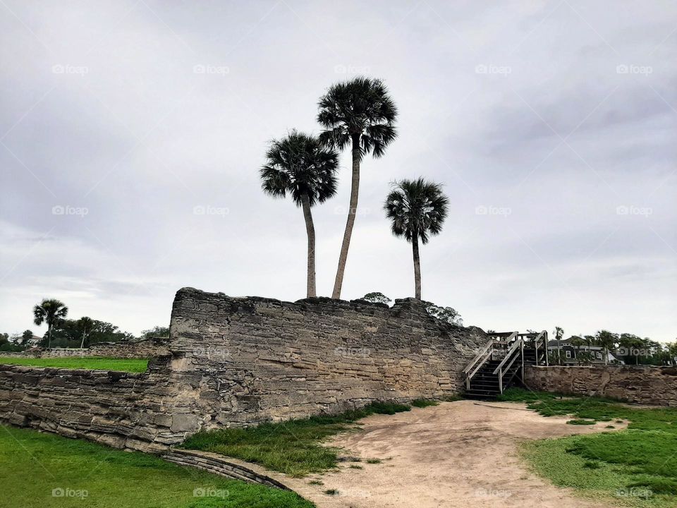 Three palms stood accompanying the old walls through timeless years as witness forever.
