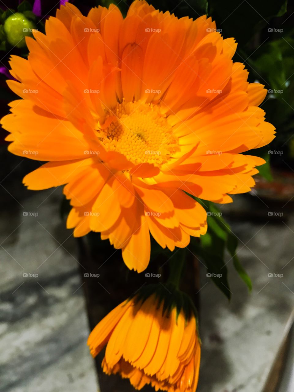 Orange flower