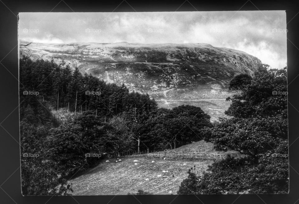 Landscape. Cumbria 