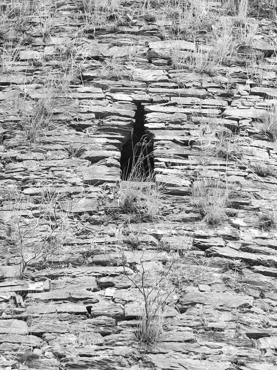 castle of Burgreuland, dating from 1625. Vielsam