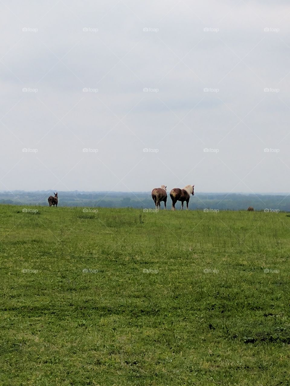 checking out the view