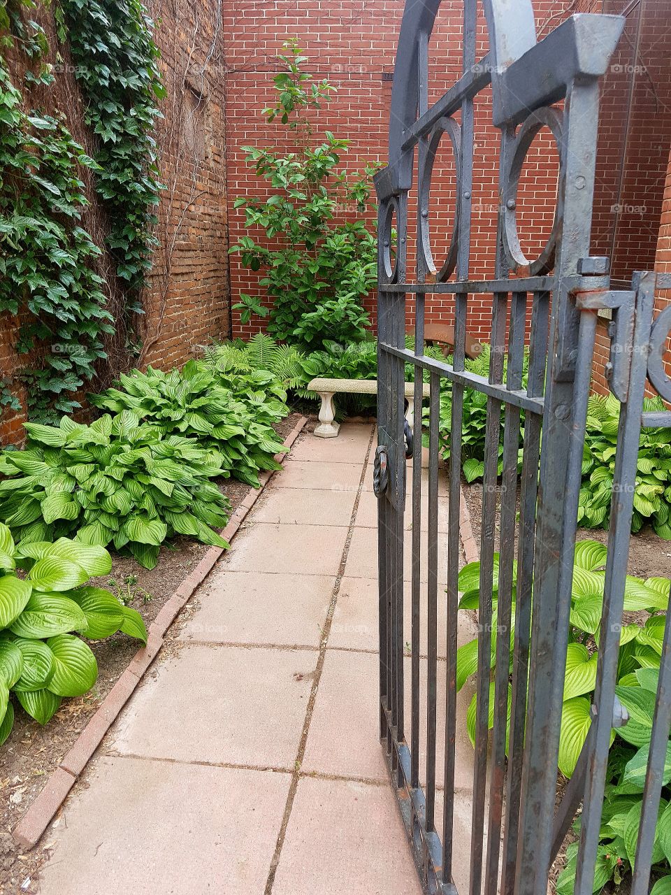 A little secret garden bench within town.