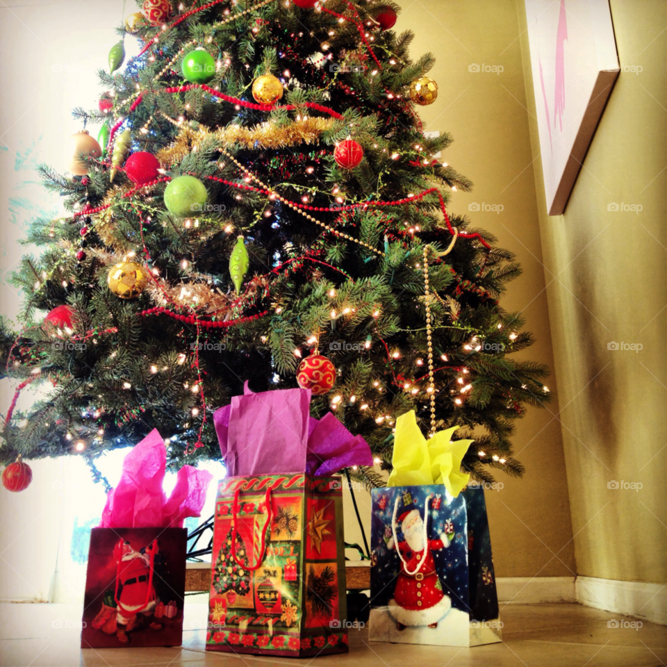 tree christmas house celebration by jmsilva59