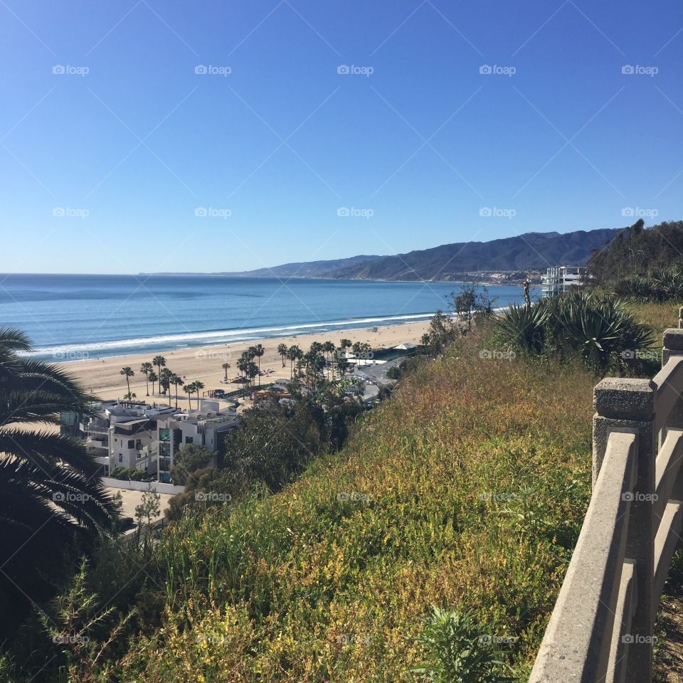 Park View . Taken from a park on a mountainside in Santa Monica, CA.