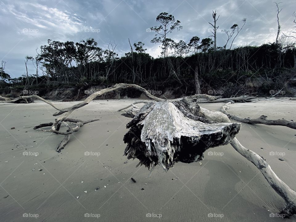 Big Talbot Island 