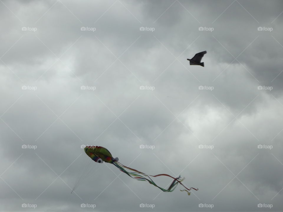 Kite Flying