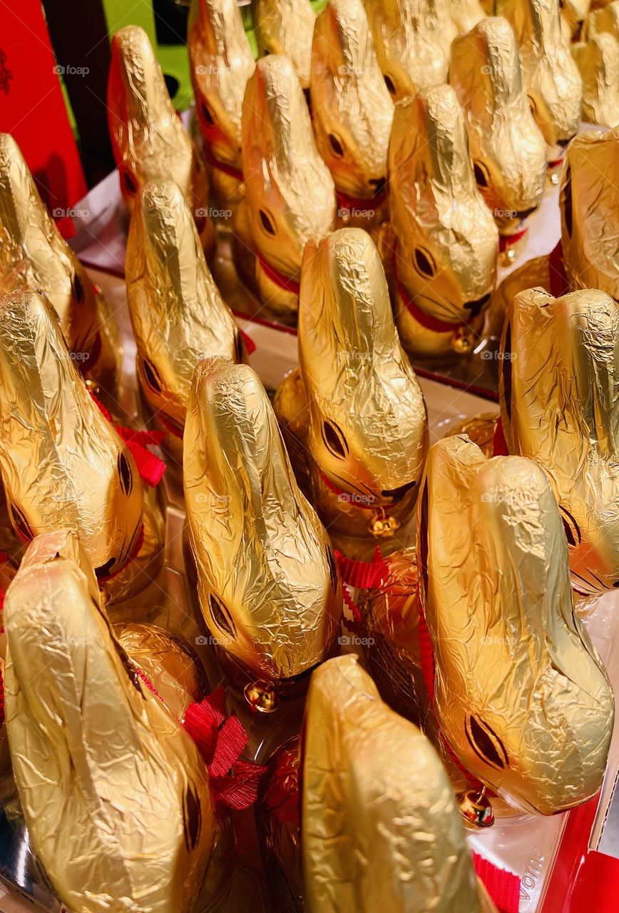 Chocolate golden wrapped Easter bunnies 